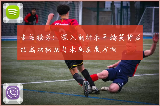 专访杨芳：深入剖析和平精英背后的成功秘诀与未来发展方向