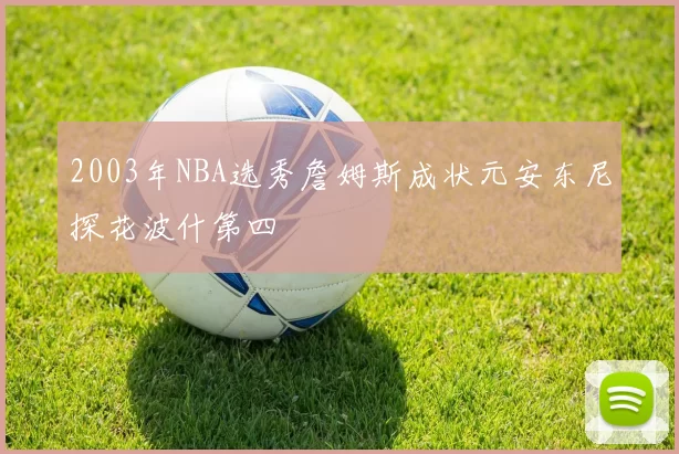 2003年NBA选秀詹姆斯成状元安东尼探花波什第四