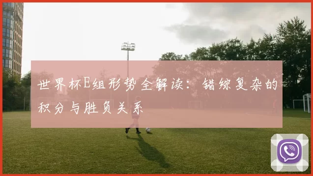 世界杯E组形势全解读：错综复杂的积分与胜负关系