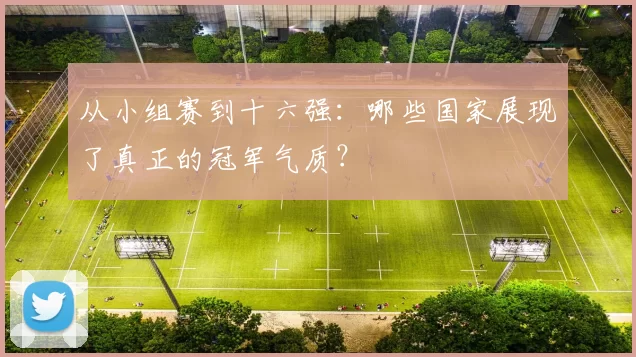 从小组赛到十六强:哪些国家展现了真正的冠军气质?