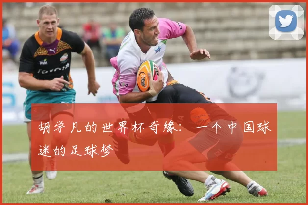 胡学凡的世界杯奇缘:一个中国球迷的足球梦