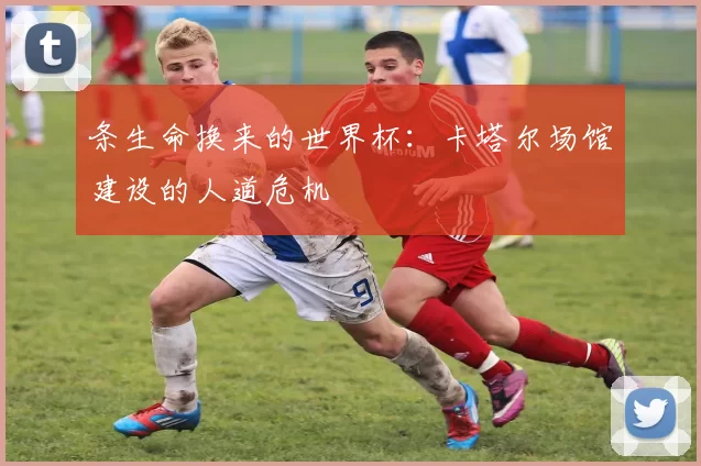 条生命换来的世界杯：卡塔尔场馆建设的人道危机