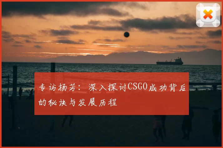 专访杨芳：深入探讨CSGO成功背后的秘诀与发展历程