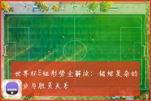 世界杯E组形势全解读：错综复杂的积分与胜负关系