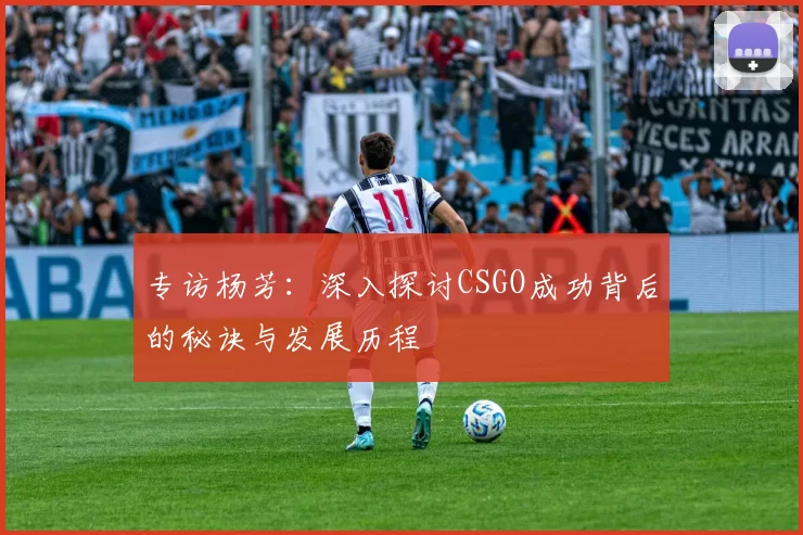 专访杨芳:深入探讨CSGO成功背后的秘诀与发展历程