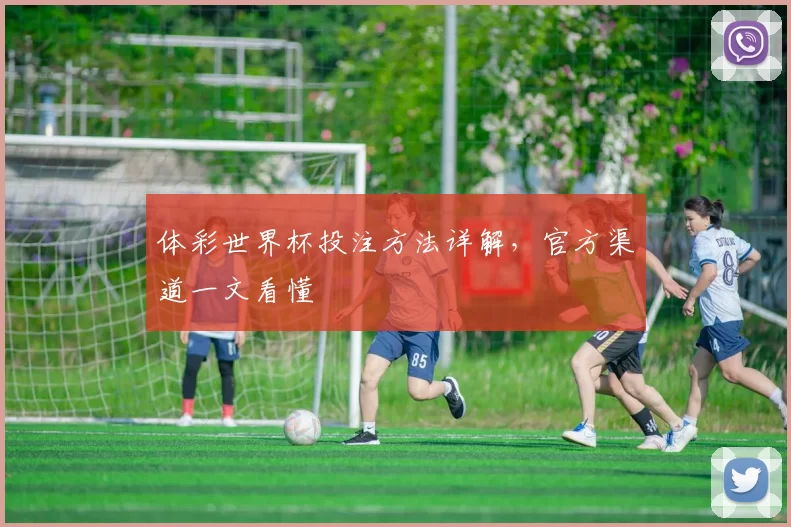 体彩世界杯投注方法详解,官方渠道一文看懂