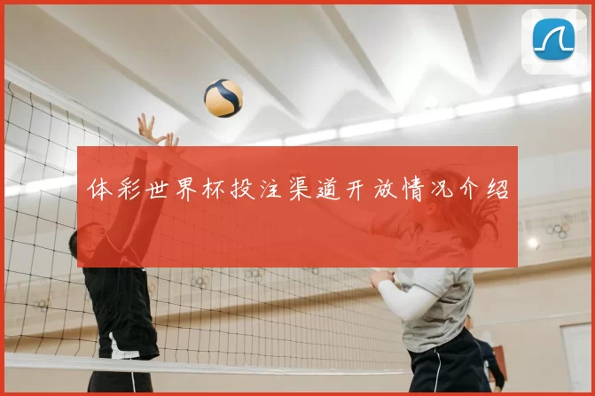 体彩世界杯投注渠道开放情况介绍