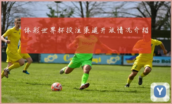 体彩世界杯投注渠道开放情况介绍