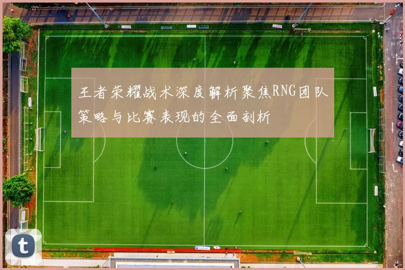 王者荣耀战术深度解析聚焦RNG团队策略与比赛表现的全面剖析